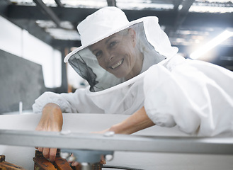 Image showing Woman, beekeeper suit and honey production, manufacturing and process in workshop, factory or warehouse. Smile of happy bee farmer for beehive inspection harvest and maintenance of small business