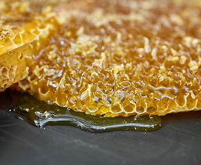 Image showing Closeup honeycomb, natural product and gold food for health, wellness and sweet nutrition at bee farm. Beeswax, honey and zoom of drip, liquid and production for healthy syrup for diet in factory