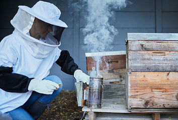 Image showing Bees, woman and smoke for honey, agriculture production and eco sustainability process in environment. Beekeeper in suit smoking insects in honeycomb box, container and frame for sustainable farming