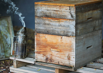 Image showing Wooden box, smoke or beekeeper equipment on sustainability agriculture, countryside environment nature honey farm. Smoking tool, honeycomb container or bees production management for food collection