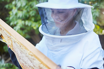 Image showing Woman, beekeeper hat or wooden frame check on honey farming land, sustainability agriculture or healthy food farm. Smile, happy or farmer with beehive insect box for sweet syrup harvest or production