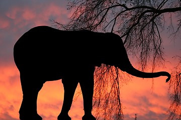 Image showing Elephant at sunrise