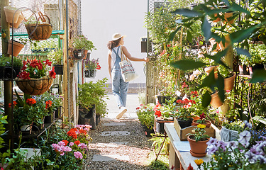 Image showing Woman, walking or shopping in small business florist or green leaf plants, flowers or sustainability growth. Garden center, nursery or greenhouse customer in spring store or Canada retail marketplace