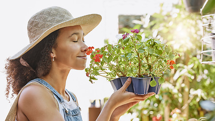 Image showing Shopping flowers, plants and customer at small business or startup for eco friendly store, commerce and retail. Young woman with floral gardening product for spring sale, promotion and offer outdoor