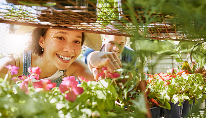 Image showing Shopping, choice or black woman in a store for flowers with a friendly worker helping with plants decision at a nursery. Sustainability, gardening or happy customer searching for pink floral products