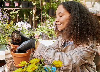 Image showing Gardening, botany and garden center with a black woman at work with a potted plant in a nursery as a florist. Small business, nature and spring with a female employee working with plants or flowers