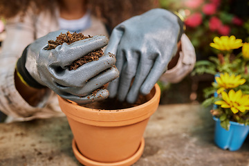 Image showing Garden, hands or woman with plant soil for gardening, agriculture growth or small business owner for nature or flowers. Eco friendly, environment or worker for spring, dirt compost or sustainability