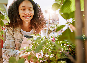 Image showing Garden, plants and woman at a nursery for inspection, gardening entrepreneurship and happy in nature. Small business, flowers and woman or florist shopping at an outdoor store for a plant or flower