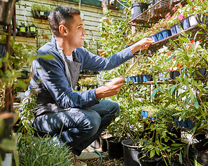 Image showing Man, gardening and plants checklist or happy entrepreneur working in flowers retail supermarket, small business agriculture and check flower growth. Businessman, ecology inventory or quality control