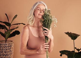 Image showing Senior woman, face skincare or flowers on studio background in mature self love, organic dermatology or vegan facial treatment. Middle aged, beauty model or green leaf plants for relax body wellness