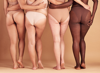 Image showing Women group, lingerie and butt in studio for wellness, fashion and diversity with plus size in unity. Back, bum and woman model team with solidarity, body positive or health for beauty by background