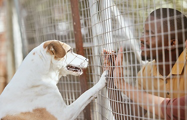 Image showing Dog, adoption and animal shelter with a black man volunteer working at a rescue center for foster care. Pet, charity and community with a male and puppy at a kennel for adopting canine pets
