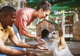 Image showing Black couple, love or petting dog in animal shelter, foster kennel or adoption center. Smile, happy or love man and woman bonding and touching pet canine for foster care or community volunteer work