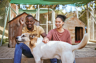 Image showing Animal shelter, adoption and dog with a black couple petting a canine at a rescue center as volunteer workers. Love, charity and community with a man and woman at a kennel to adopt or foster a pet