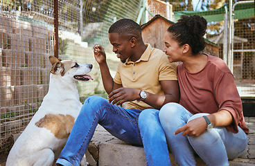 Image showing Adoption, couple and feeding dog at vet, bonding and having fun. Foster care, interracial love and happy man and woman giving pet food at animal shelter, playing or enjoying quality time together.