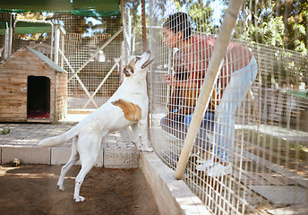 Image showing Fence, dog and adoption at animal shelter with black couple playing with animal. Empathy, foster care and man and woman bonding, enjoying time and having fun with excited pet at vet, kennel or pound.