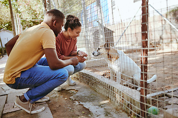 Image showing Dog, adoption and animal shelter with black couple volunteers at a rescue center for foster care. Help, dogs and trust with a man and woman doing charity or aid work with homeless animal pets