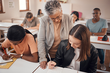 Image showing Help, classroom and professor with writing student in learning, mentorship and teaching at university, college or school. Knowledge, language and notes of a teacher with young woman for youth support