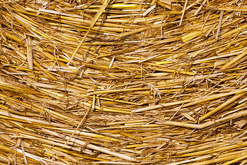 Image showing agricultural field with straw stacks