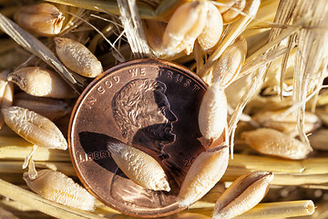 Image showing American coins are cents