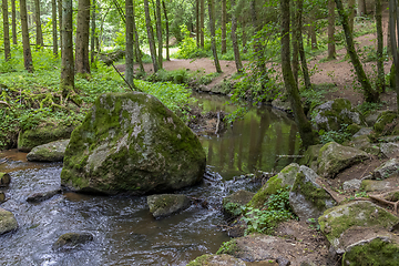 Image showing nature reserve in the Bavarian Forest