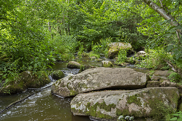 Image showing nature reserve in the Bavarian Forest