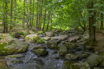 Image showing nature reserve in the Bavarian Forest