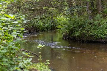 Image showing nature reserve in the Bavarian Forest