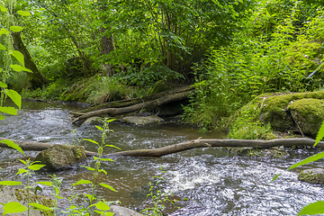 Image showing nature reserve in the Bavarian Forest