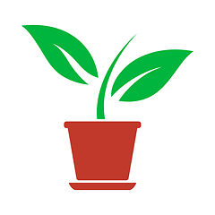 Image showing Plant In Flower Pot Icon