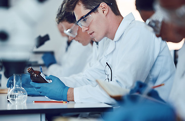 Image showing Science, education and students in laboratory with medicine for chemistry, biotechnology and biology lesson. University, healthcare and group of learners for lab test, exam and experiment with liquid