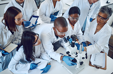 Image showing Student, microscope and science in university class, group and learning with woman lecturer, education or study. Students, scientist and medical research, dna lab or scholarship innovation at college