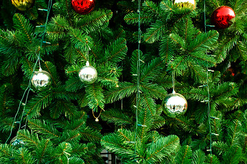 Image showing Christmas Tree