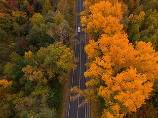 Image showing Aerial view of road in beautiful autumn altai forest