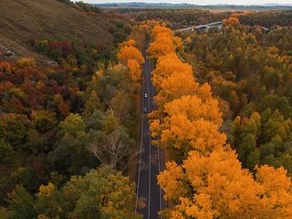 Image showing Aerial view of road in beautiful autumn altai forest