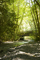 Image showing Olympic National Park