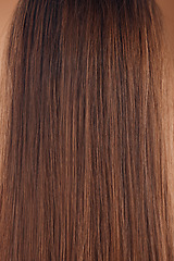 Image showing Woman headshot, back and brown hair style in studio keratin treatment, Brazilian dye color or healthcare wellness. Zoom, texture and brunette strands with straight detail on model with healthy growth