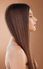 Image showing Woman, beauty and hair care in studio for shine, glow and keratin treatment, texture or color on brown background. Model profile, hair style and cosmetics, beauty salon and shampoo product for growth