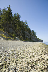 Image showing Port Williams Beach