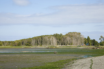 Image showing Cline Spit Beach