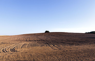Image showing plowed fertile soil