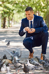 Image showing Business, man and feeding birds outdoor in the park during a work break for happiness and peace. Businessman, feed and hungry pigeons eating in a nature garden during a work lunch break