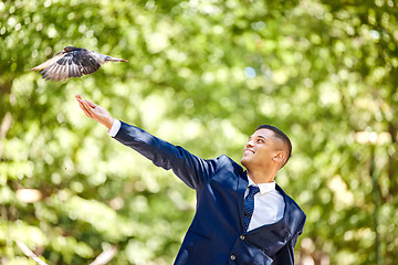 Image showing Business man, bird and nature park for freedom, success and start of new opportunity as leader while outdoor with a smile and happiness. Entrepreneur with animal on green tree background for hope