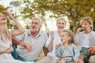 Image showing Summer, park and family on picnic with fruit enjoying summer holiday, vacation and weekend together. Big family, love and grandparents, parents and children eating, bonding and relaxing outdoors