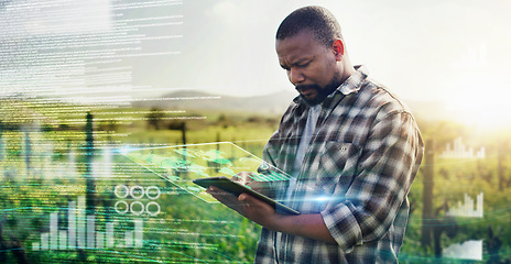 Image showing Digital, tablet and future with black man on farm for sustainability, agriculture and planning. Technology abstract, innovation and ui with farmer for growth, environment and internet networking