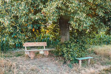 Image showing Small wooden bench, resting place under the tree