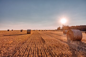 Image showing Straw bales stacked in a field at summer time in sunset