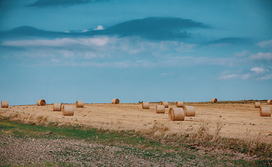 Image showing Straw bales stacked in a field at summer time