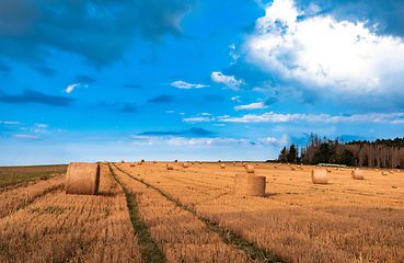 Image showing Straw bales stacked in a field at summer time