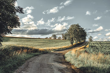 Image showing Summer landscape Vysocina Czech Republic